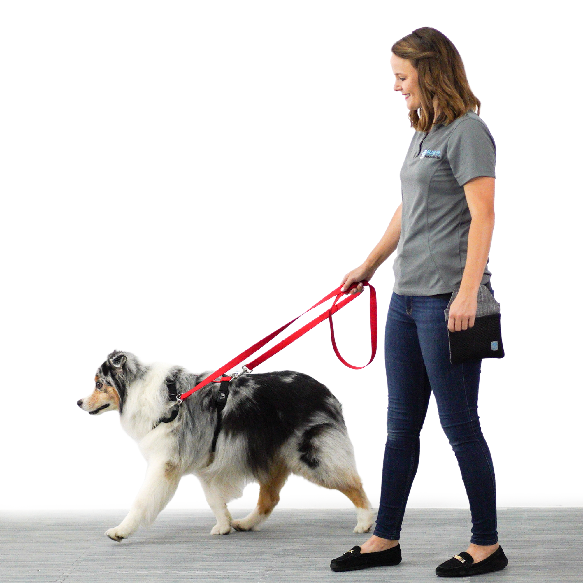 Balance_Harness_and_Multi-Function_Leash_in_action.png